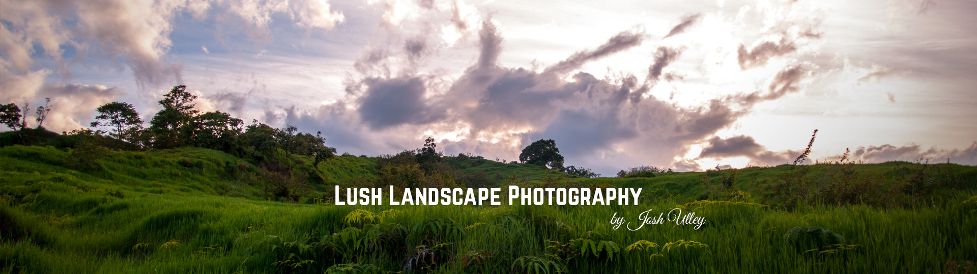 Lush Landscape Photography by Josh Utley