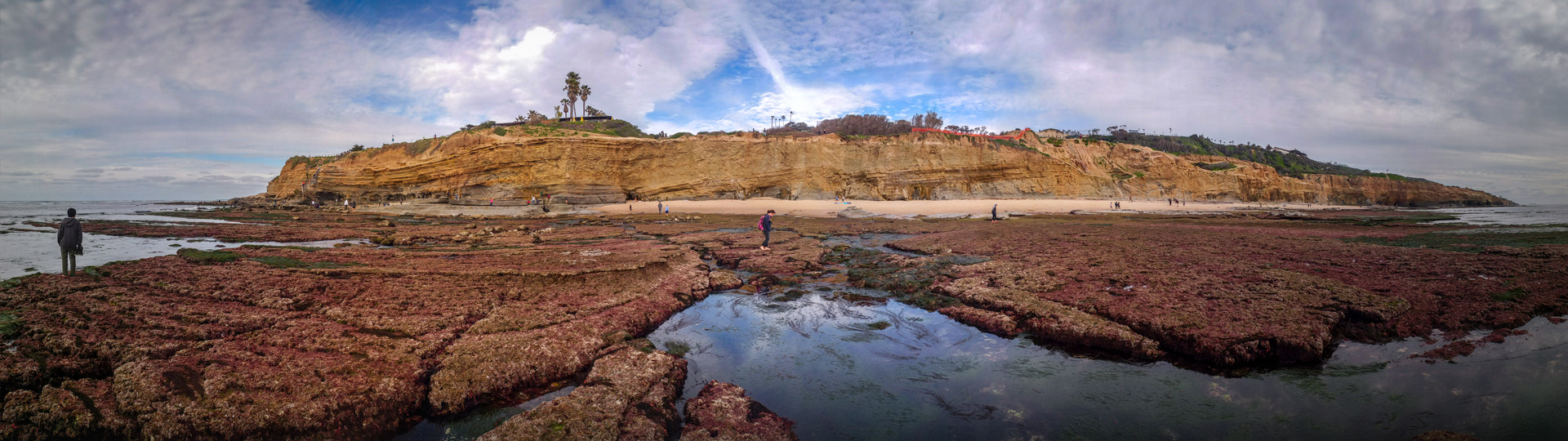 Landscape Photographer