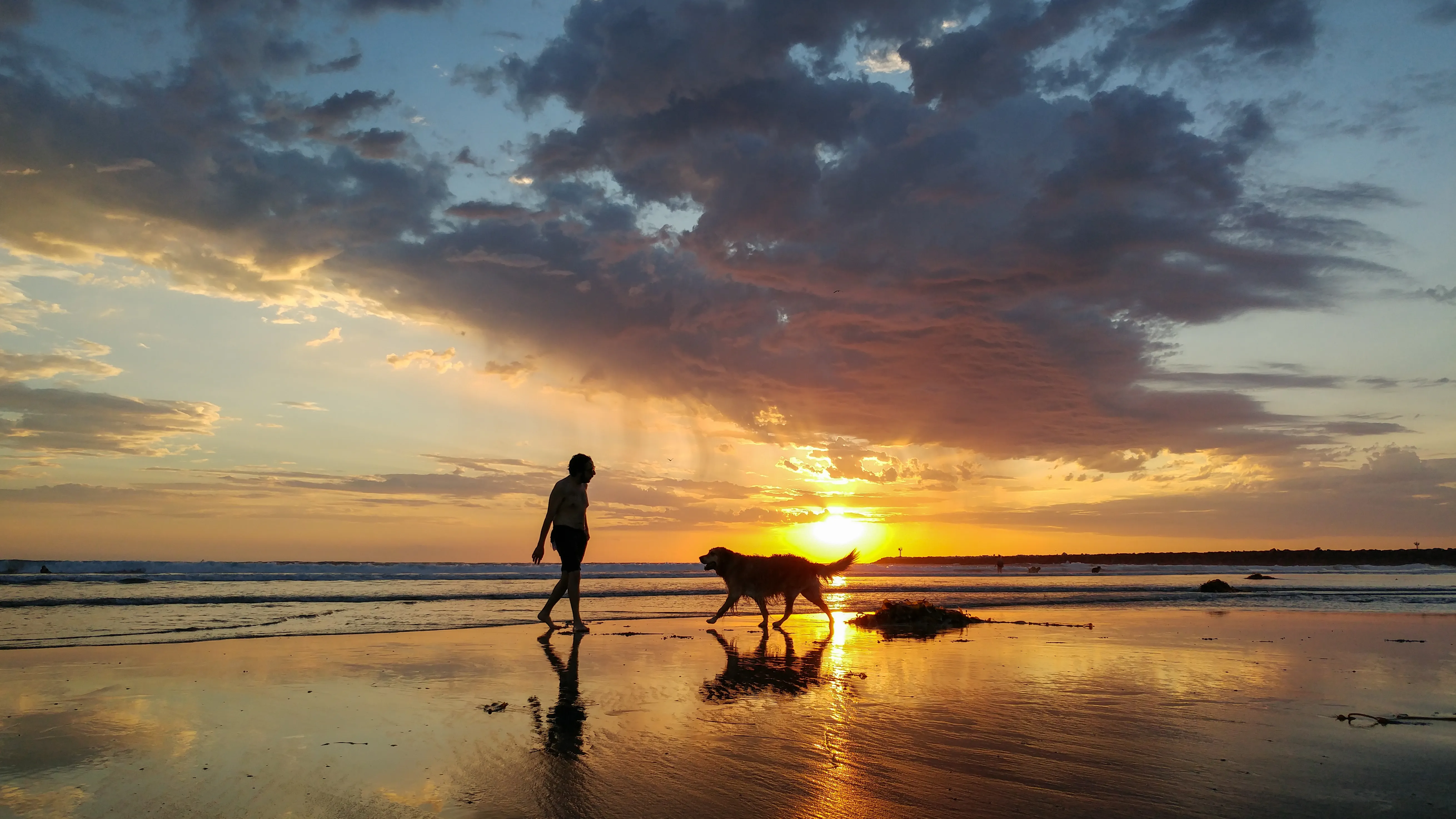 A Man and His Dog - Photo by Josh Utley