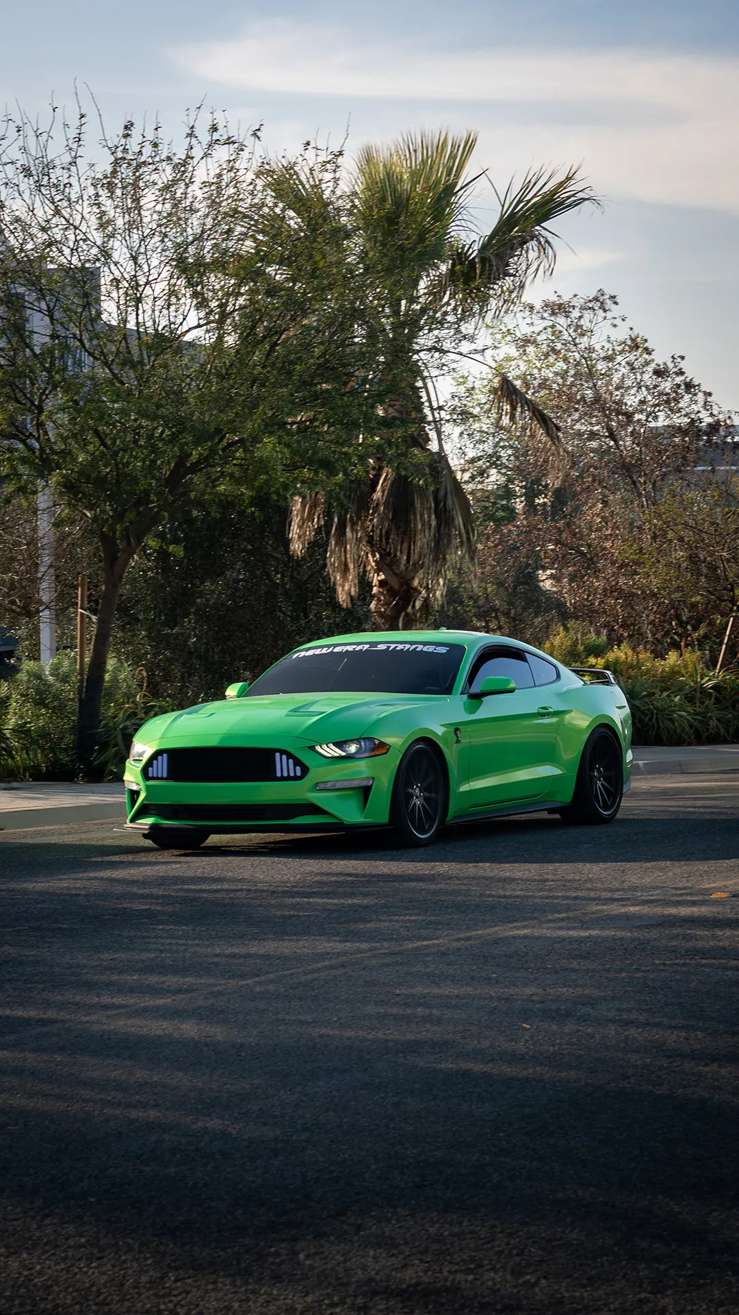 Mustang Automotive Photoshoot