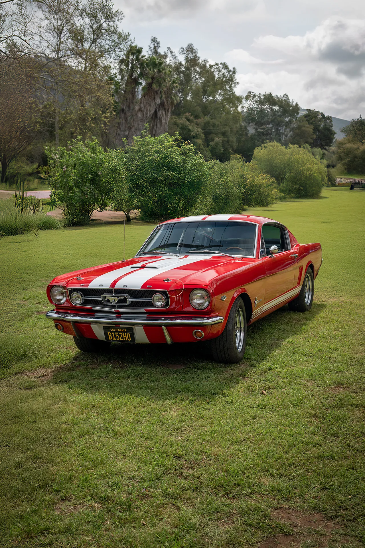 Mustang Automotive Photoshoot